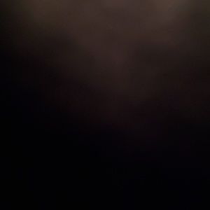 Meet your Posher, Nyla